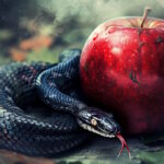 2. Who Made the Devil?